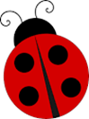 A red and black ladybugDescription automatically generated